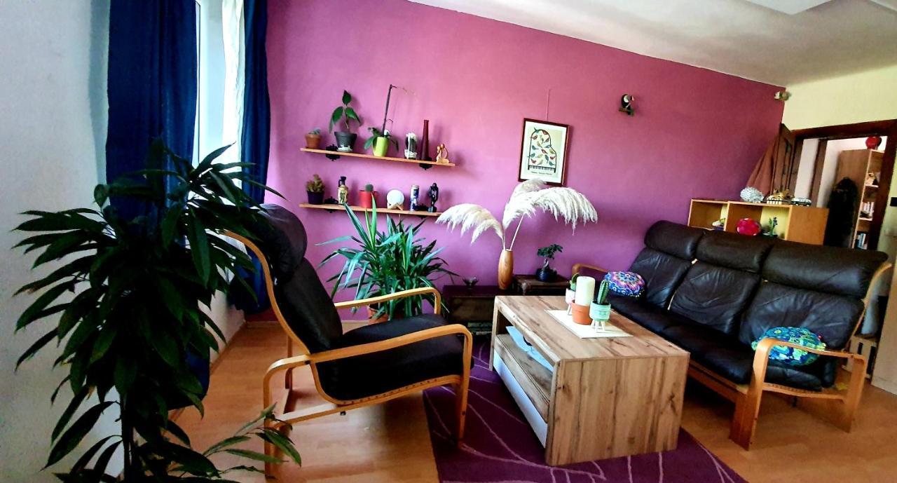 Entire House In The Heart Of Kozana Appartamento Dobrovo Esterno foto